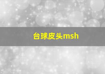 台球皮头msh