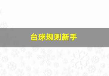 台球规则新手