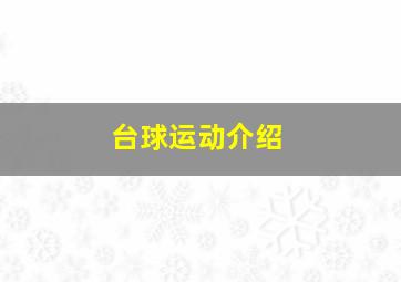 台球运动介绍