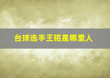 台球选手王铭是哪里人