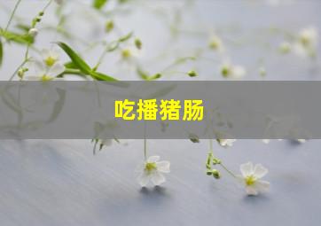 吃播猪肠