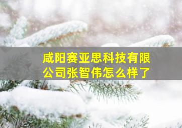 咸阳赛亚思科技有限公司张智伟怎么样了