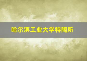 哈尔滨工业大学特陶所