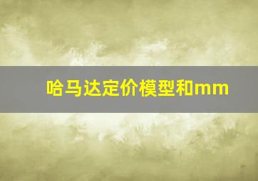 哈马达定价模型和mm