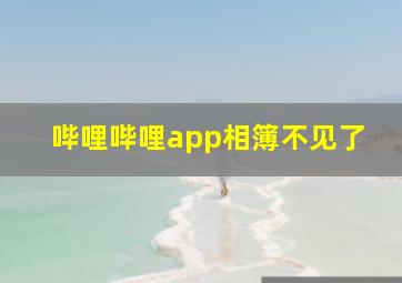 哔哩哔哩app相簿不见了