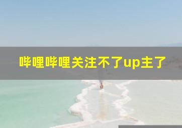 哔哩哔哩关注不了up主了