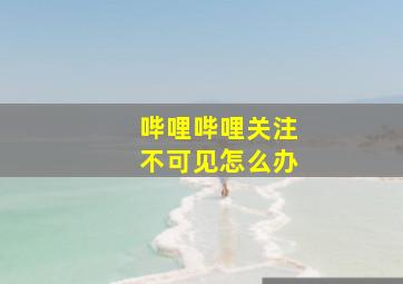 哔哩哔哩关注不可见怎么办