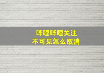 哔哩哔哩关注不可见怎么取消