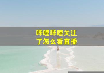 哔哩哔哩关注了怎么看直播