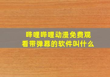 哔哩哔哩动漫免费观看带弹幕的软件叫什么