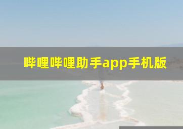 哔哩哔哩助手app手机版