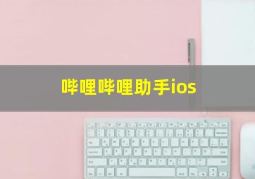 哔哩哔哩助手ios