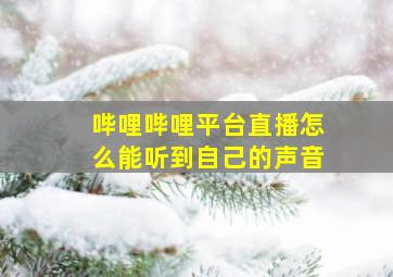 哔哩哔哩平台直播怎么能听到自己的声音