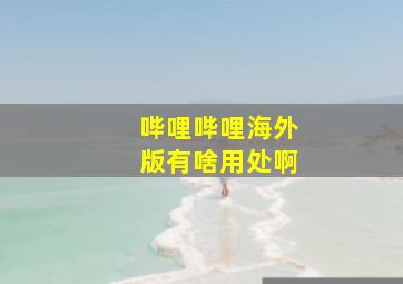 哔哩哔哩海外版有啥用处啊