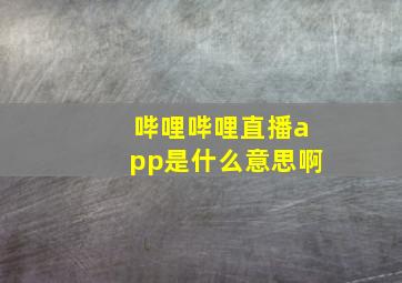 哔哩哔哩直播app是什么意思啊