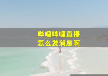 哔哩哔哩直播怎么发消息啊