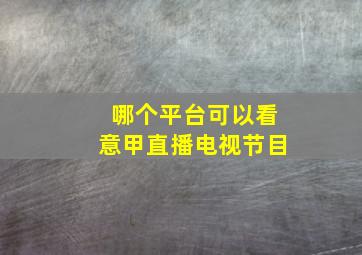 哪个平台可以看意甲直播电视节目