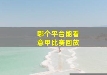 哪个平台能看意甲比赛回放