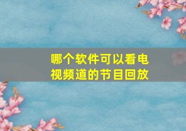 哪个软件可以看电视频道的节目回放