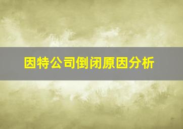 因特公司倒闭原因分析