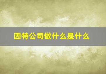 因特公司做什么是什么