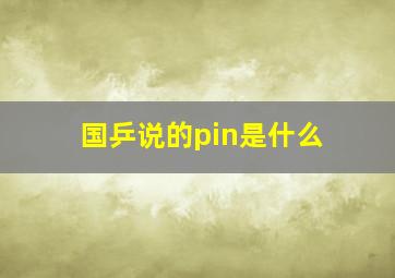 国乒说的pin是什么