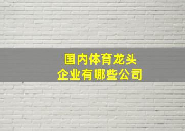 国内体育龙头企业有哪些公司