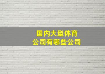 国内大型体育公司有哪些公司