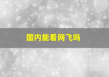 国内能看网飞吗