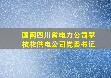 国网四川省电力公司攀枝花供电公司党委书记