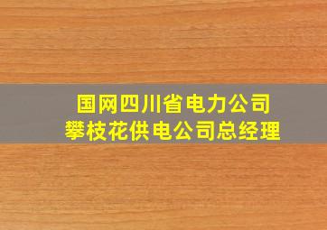 国网四川省电力公司攀枝花供电公司总经理