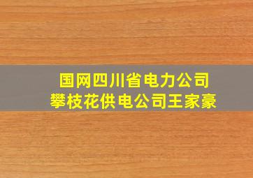 国网四川省电力公司攀枝花供电公司王家豪