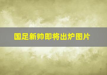 国足新帅即将出炉图片