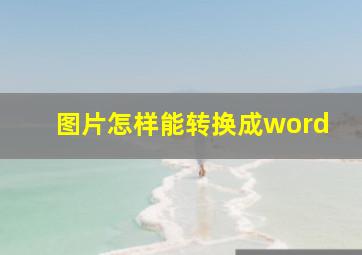 图片怎样能转换成word