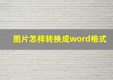 图片怎样转换成word格式