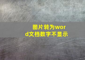 图片转为word文档数字不显示