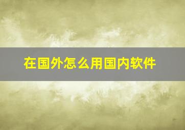 在国外怎么用国内软件