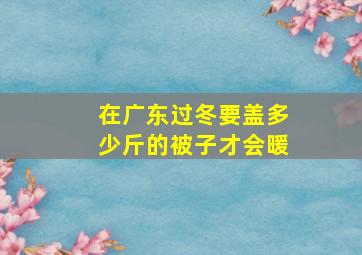 在广东过冬要盖多少斤的被子才会暖