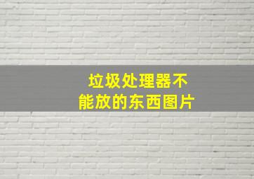 垃圾处理器不能放的东西图片