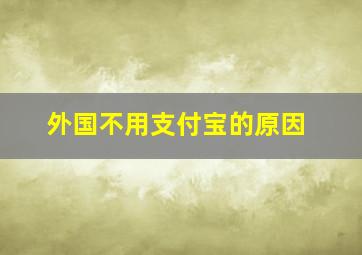 外国不用支付宝的原因