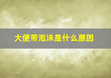 大便带泡沬是什么原因