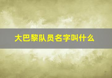 大巴黎队员名字叫什么