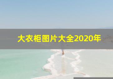 大衣柜图片大全2020年