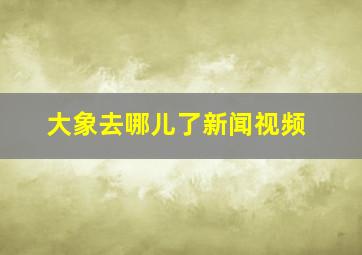 大象去哪儿了新闻视频