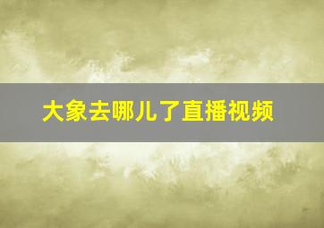 大象去哪儿了直播视频