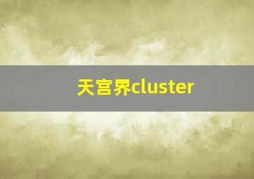 天宫界cluster