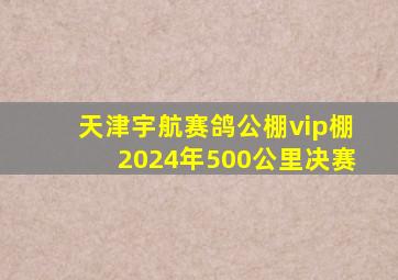 天津宇航赛鸽公棚vip棚2024年500公里决赛