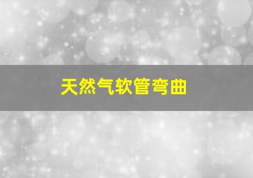 天然气软管弯曲