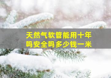 天然气软管能用十年吗安全吗多少钱一米