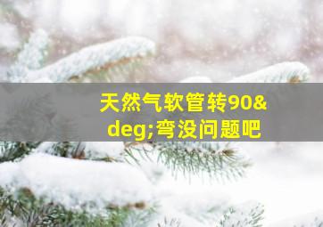 天然气软管转90°弯没问题吧